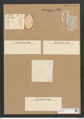 Amphora spectabilis Greg. (de-Toni-Nr.: Genus 36, Species 1656) Zeichnungen Sammlung Grunow Nr. 3165 (NHMW-BOT-W0370604)